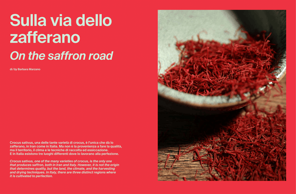 ItaliaSquisita #51