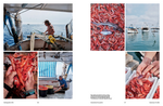 Load image into Gallery viewer, ItaliaSquisita - Subscription

