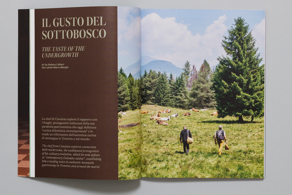 2025 Magazines ALL IN ONE