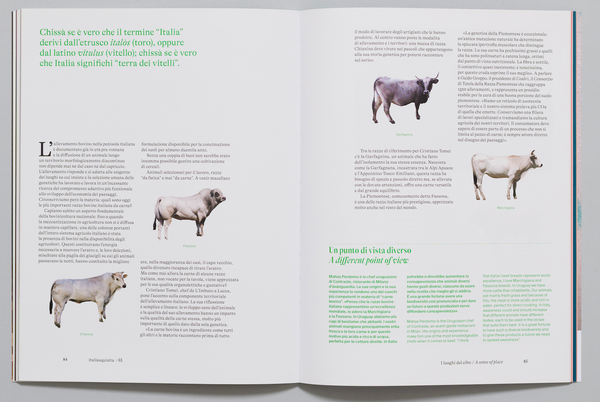 2025 Magazines ALL IN ONE