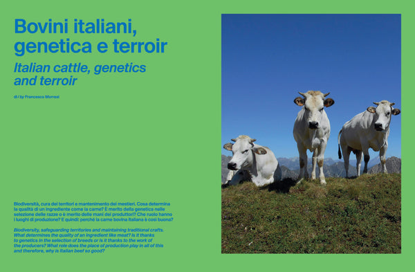 ItaliaSquisita #53